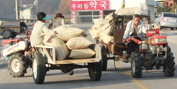 경상남도 함양군에서 농민들이 공공비축미로 팔기 위해 트랙터에 쌀 가마니를 싣고 이동하고 있는 모습.