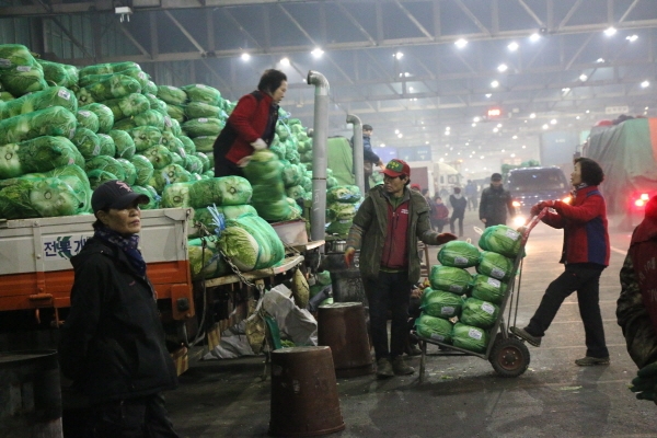 가락시장에서 배추 경매 후 하차하는 모습.