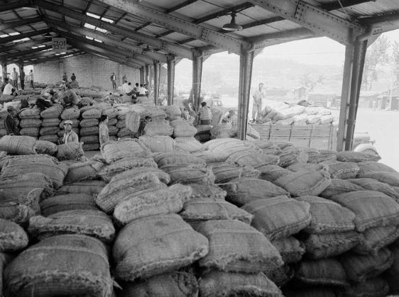 1965년 용산역 창고 쌀 반출광경 모습.