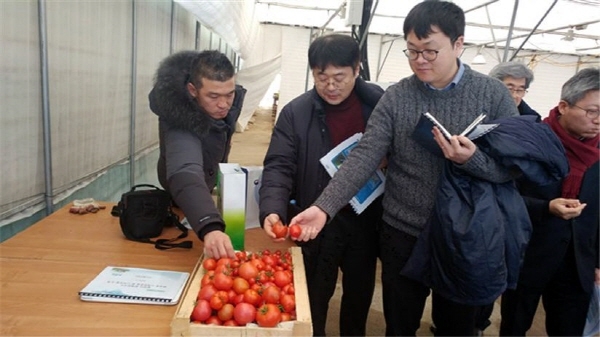 카자흐스탄 현지 테스트베드 사업 현장에서 생산된 토마토를 시식하고 있다.