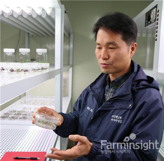 황병호 아시아종묘 기술이사가 실험실에서 작물 발아 모습을 관찰하고 있다.