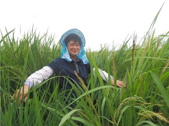 쌀 가공용 품종 개발에 열정을 쏟는 조준현 농업연구사.
