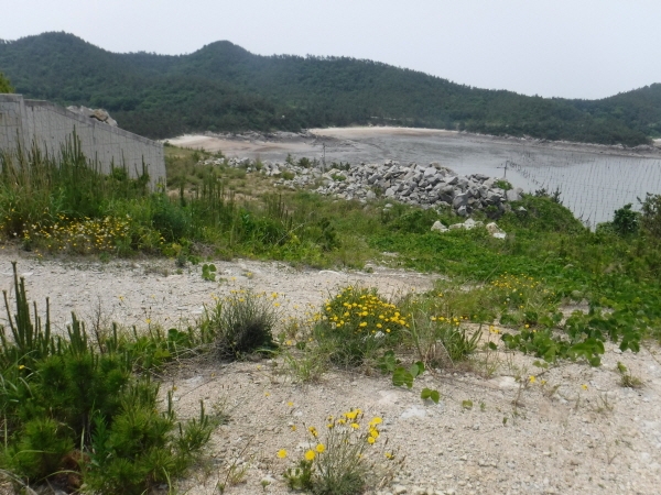 도서해안 산림복원 인위적 훼손지 모습.