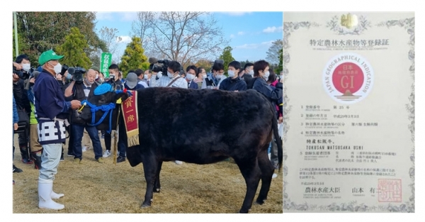 올해 대회 최고의 마쯔사카우에 선정된 ‘코코로3(왼쪽)’과 마쯔사카우의 지리적 표시 등록증.