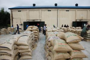 쌀 변동직불금 폐지…고정직불금 단가 인상
