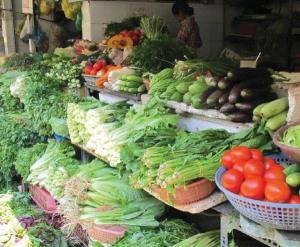 농식품부, 수매·비축으로 김장채소 수급·가격 안정 나서