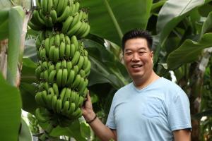 [현장탐방]“서울 근교에서 바나나가 재배된다”···농업기술의 진화(進化)