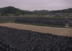 “방사능오염 가능성 있는 일본산 수산물 전면 수입금지해야”