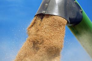 곡물·설탕·유제품·유지류 국제 가격 상승