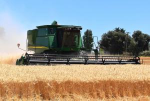 2020년 곡물가격지수 전년대비 6.6% 상승