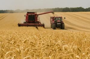 세계식량가격지수 전월 대비 0.9% 하락