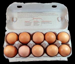 물가안정용 스페인산 계란 121만개 국내 도착
