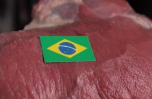 브라질 광우병 발생, 소고기 수출 중단