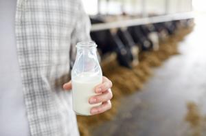 식물성 대체음료, ‘우유’ 아닌 ‘음료’로 규정해야