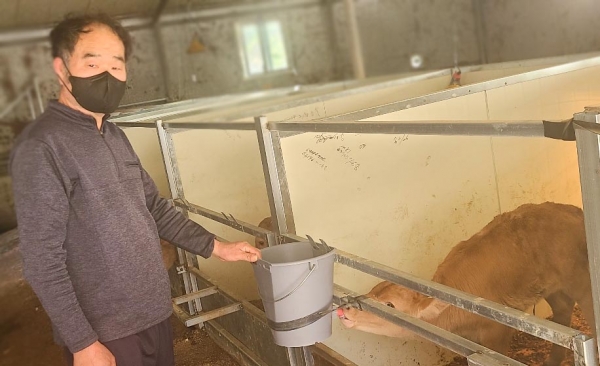 경남 고성에서 한우 100여두를 사육하고 있는 포근농장 강보권씨는  진심시리즈 사용 이후 송아지 폐사가 크게 줄고, 생산성이 향상됐다고 말한다(사진:농협사료 제공)