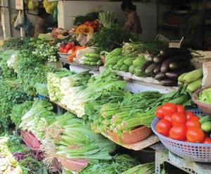 농식품부, ‘채소류 수급상황’ 점차 개선될 듯