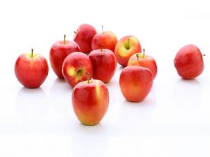 고품질 작은 사과 ‘루비에스’ 100톤 유통