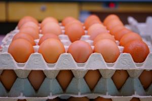 계란 가격 안정 위해 4000만개 수입 확대