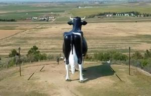 세계 최대인 높이 15m에 무게 5.4톤인 홀스타인 젖소 모형이 50년전 미국에 세워졌다